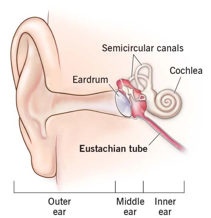 Reasons for ear pain after running
