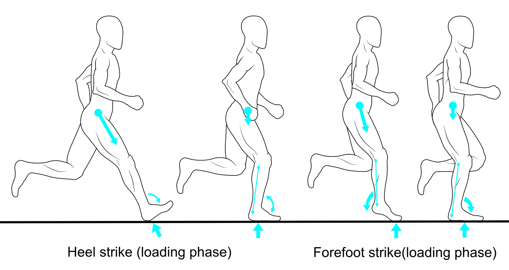 Heel strike or  forefoot strike while running