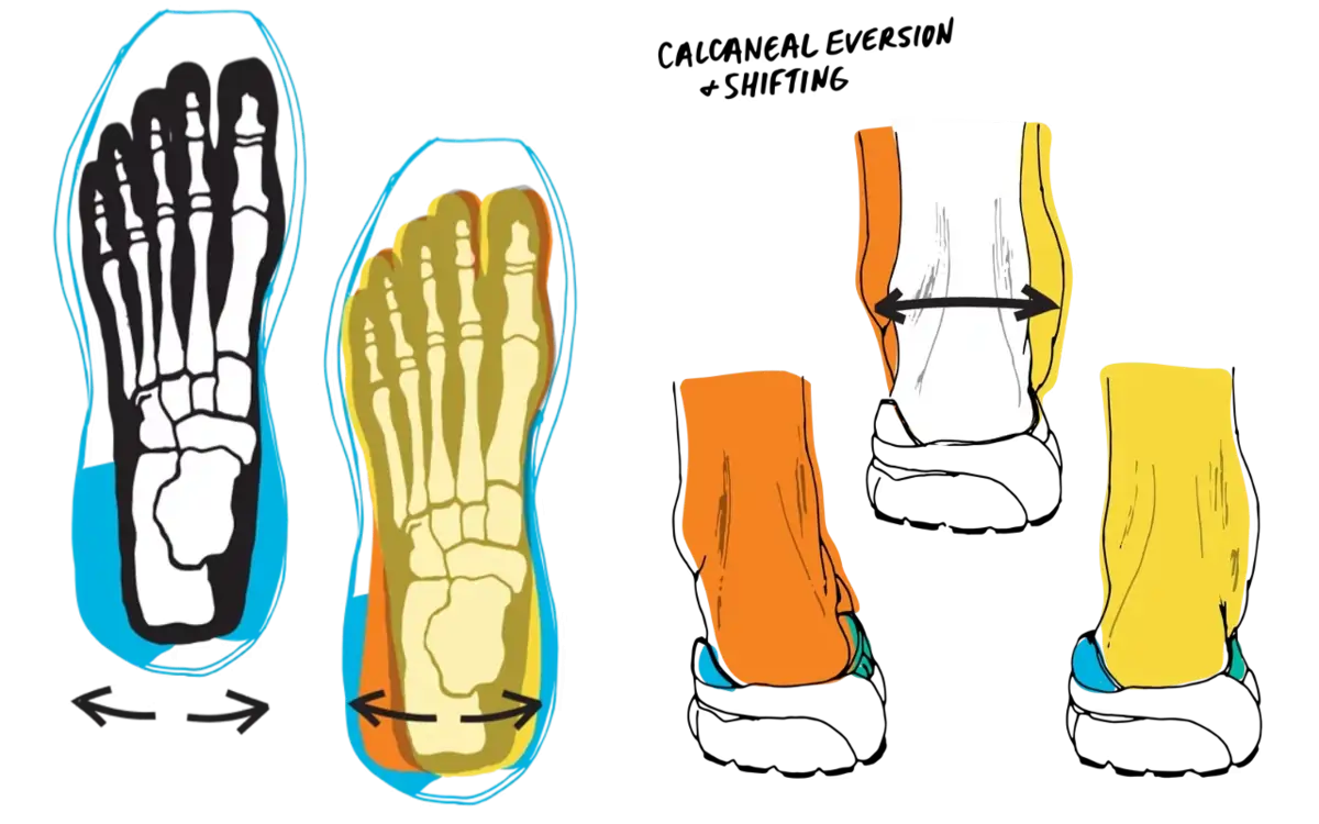 Pronation guide frome Brooks